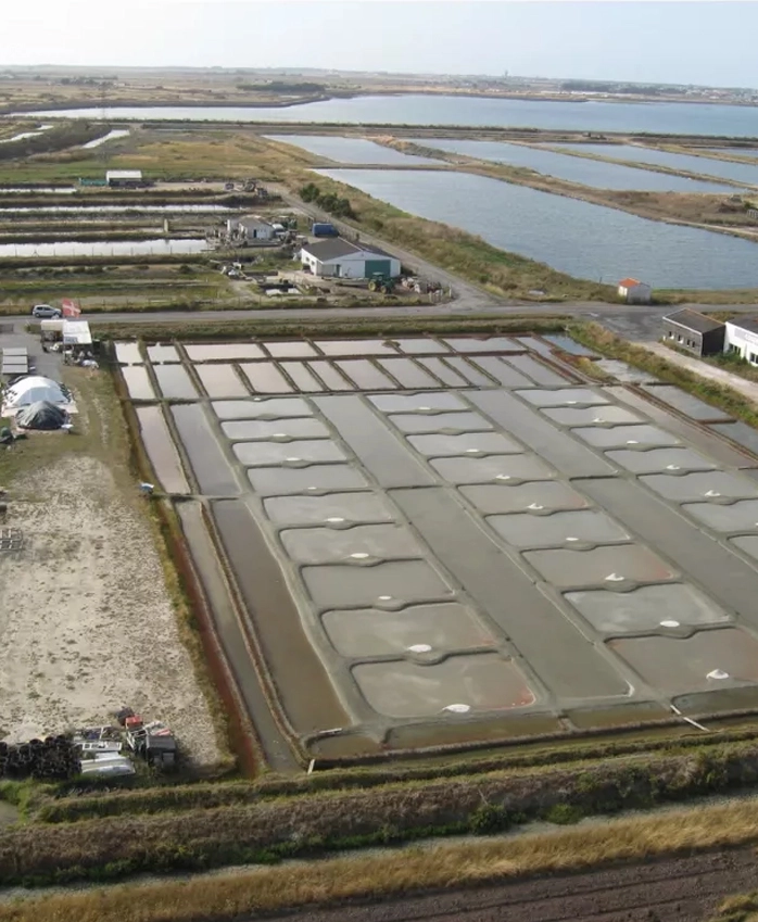 Marais salant La Guérinière, Marais salant Noirmoutier-en-l'Île, Marais salant Challans